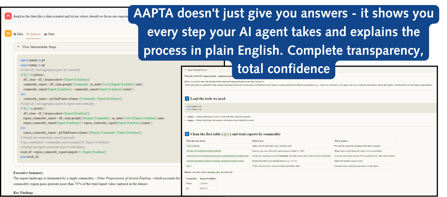 Screenshot showcasing the AAPTA interface, displaying code execution steps and insights related to data analysis.